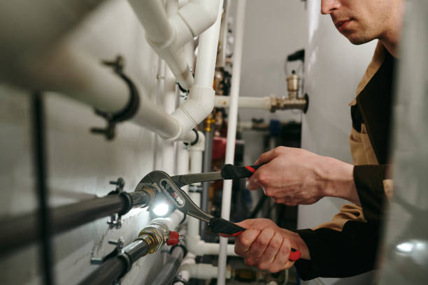 Best Sprinkler Systems  in Loughman, FL