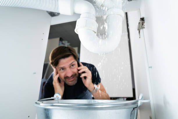 Best Clogged Drain Plumber  in Loughman, FL